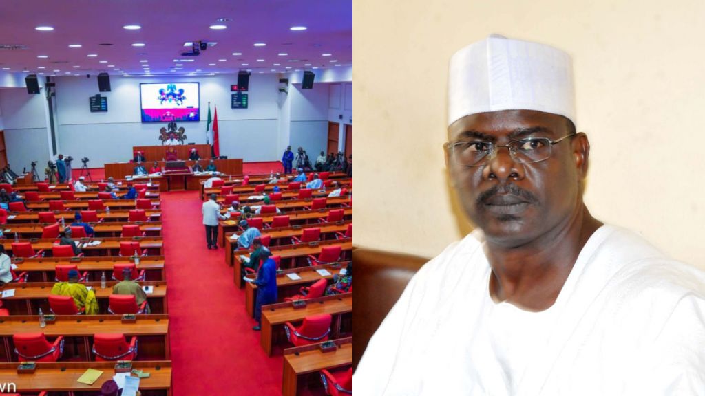 Senator Ali Ndume. [Facebook/Getty Images]