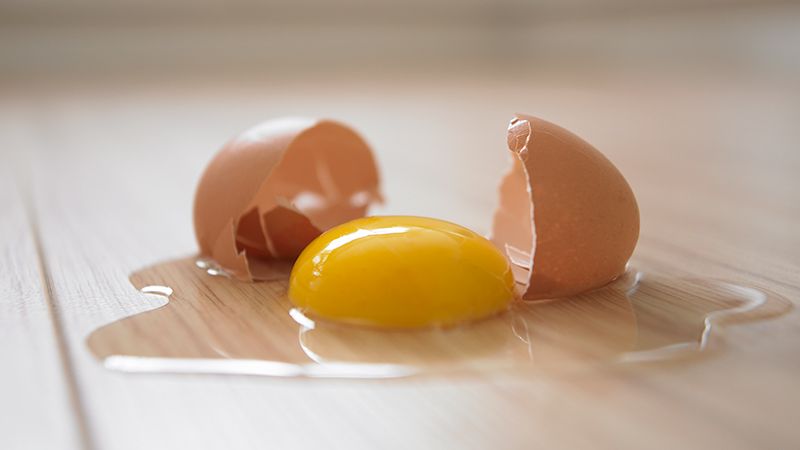 How to easily tell if an egg has gone bad [PhysiciansCommittee]