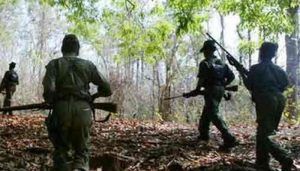 Two women Maoists killed in Odisha-Chhattisgarh gunfight