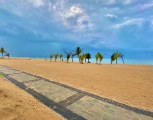 Chandrabhaga Beach Odisha Tourism X