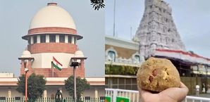 Tirupati laddus row: At least Gods should be kept away from politics, says Supreme Court