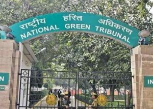 National Green Tribunal