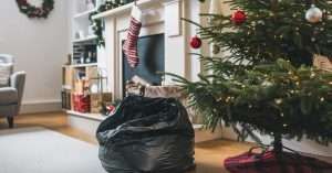 Bin bag in the living room at Christmas