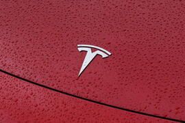 tesla badge