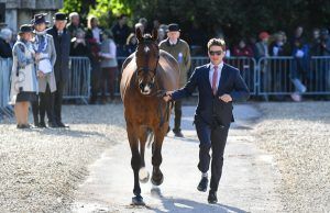 Badminton vet inspection Tom Crisp and Coolys Luxury