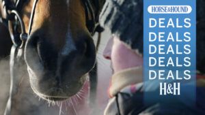 Close up of horse groom in winter hat by horse’s nose and breath showing in the cold, with H&H deals graphic