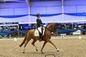 Evelina Shrieve and Insist TC at the 2024 Winter Dressage Championships.