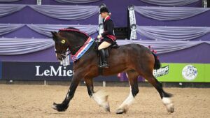 Moorfield Nancy and Alice Pimbley are ridden heavy horse champions at HOYS 2024.