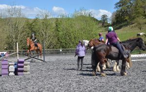 horse riding lessons at riding schools