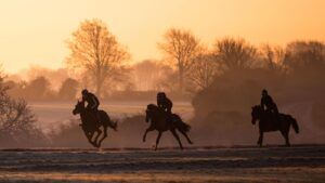 Thoroughbred Aftercare Programme