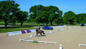 A horse being ridden in a dressage arena at Hickstead.