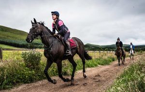 How to get your horse fit GE7DXN Strip End, Camptown, Jedburgh, Scottish Borders, UK. 22nd July 2016. Horses and ponies enjoy a gallop on the all weather gallops