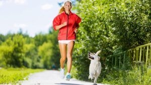 Young woman jogging with yellow labrador: dog breeds for running