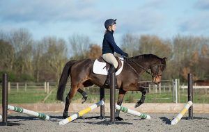 Pole exercises for horses, such as trotting over raised poles, can help the horse strengthen their core muscles