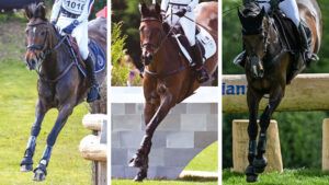 Are these our LA 2028 Olympic eventing medallists? Lordships Graffalo, flanked by Zaragoza (left) and Nickel 21 (right).