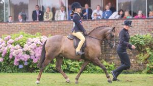 Performance in the ring comes down to the training the lead-rein pony