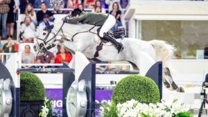 Showjumping news: Daniel Coyle (IRE) and Incredible - third place at the Longines FEI Jumping World Cup™ NAL - Ocala (USA)