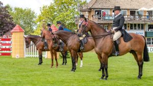 Riding horse line-up: training manner is vital