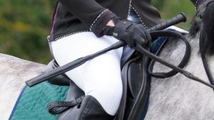 New British Showjumping whip rules have been introduced for the 2025 season.