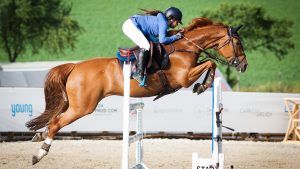 How to buy a showjumper: JG04N7 An unidentified competitor jumps with his horse at the Salina Equines Horse Trophy, Turda, Cluj, Romania - 1 July 2017 Photo: Cronos/Melinda Nagy