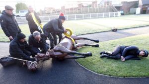 Ten mannequins have been bought for British racecourses. The first of these was delivered to Cheltenham in January.