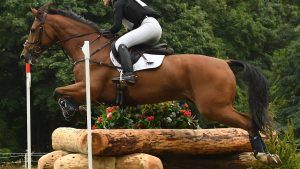 How to buy an eventer