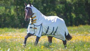 Shires Highlander Plus Sweet-Itch combo 