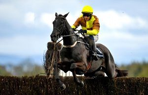 Cheltenham Festival tips Galopin Des Champs is the favourite for the 2024 Boodles Cheltenham Gold Cup