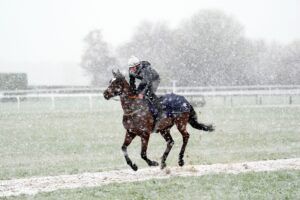 Cheltenham Festival snow