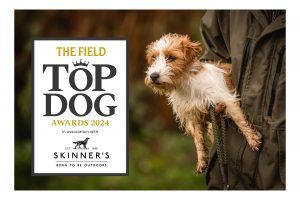 top dog awards