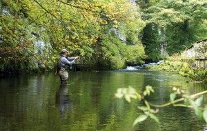 Top 10 trout rivers. Fishing.