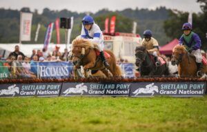 Shetland Pony Grand National