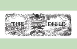 The Field illustration