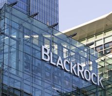 BlackRock becomes latest firm to leave global net-zero alliance 