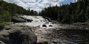 A river runs through a forest.