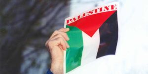 A hand holding up a Palestine flag.