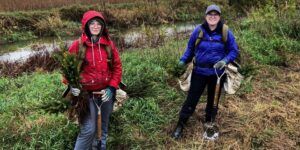 Volunteers with the Raisin Region Conservation Authority planting trees.