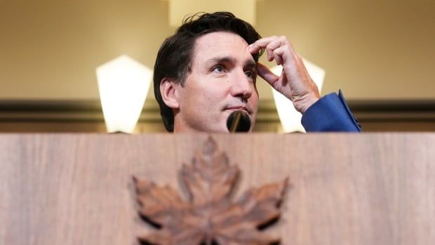 Prime Minister Justin Trudeau holds a press conference on Parliament Hill in Ottawa on Thursday, Oct. 24, 2024.