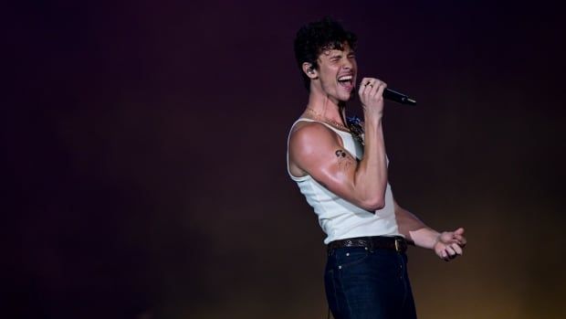 Shawn Mendes is pictured in a white shirt and jeans performing at a concert. 