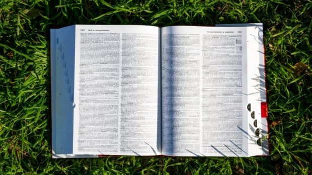 An open dictionary book lying the grass