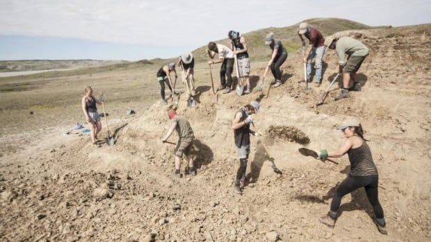 People shoveling sand at a site. 