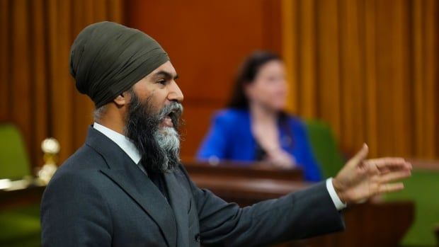 NDP Leader Jagmeet Singh 