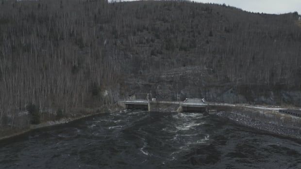 A photo taken from a drone of body of water and large dam in a forest.