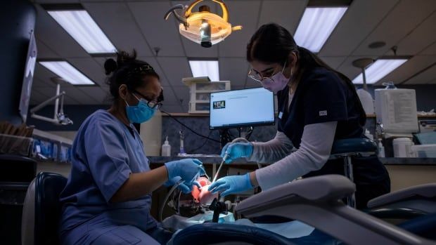 Students are pictured at Vancouver Community College dental clinic in Vancouver, B.C, on Friday, November 1, 2024 practicing dental work on a dummy.