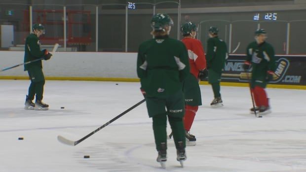 Players in equipment on the ice. 