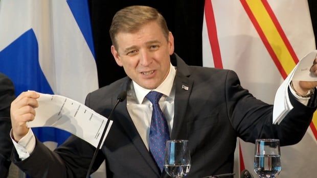 Man in suit sitting in front of N.L. flags holding two pieces of ripped paper.