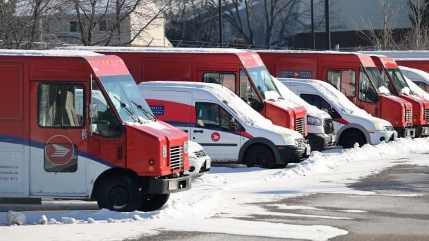 Mail box and vehicles covered in snow are seen parked in a line.