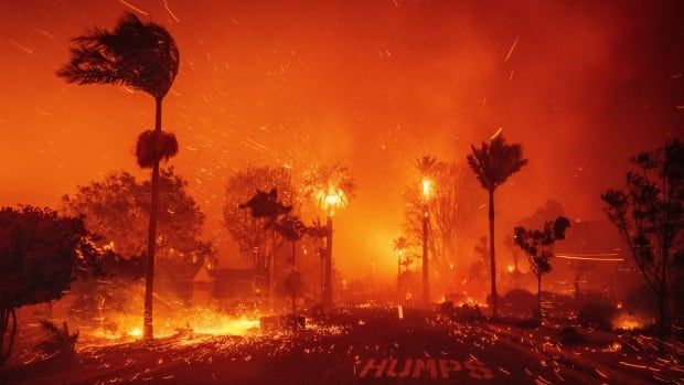 A wildfire rages on an urban street, as homes and trees burn.