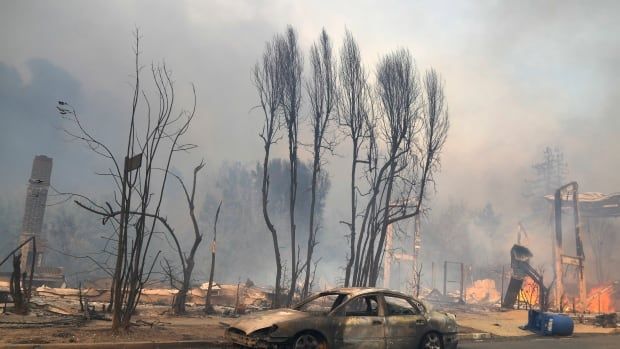 A burned out car is shown parked in front of a burned-down house and several trees that are burned of all vegetation. Orange flames are seen in the background