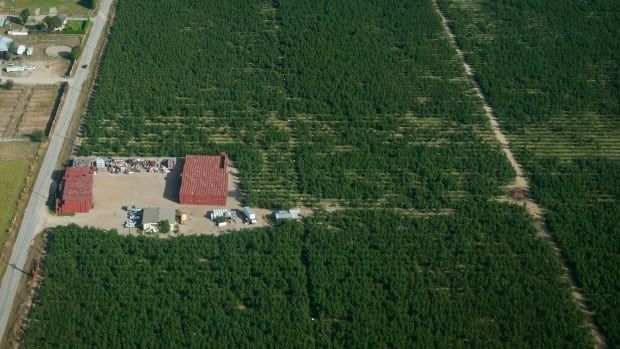 An aerial view of a farm building in a large green field. 